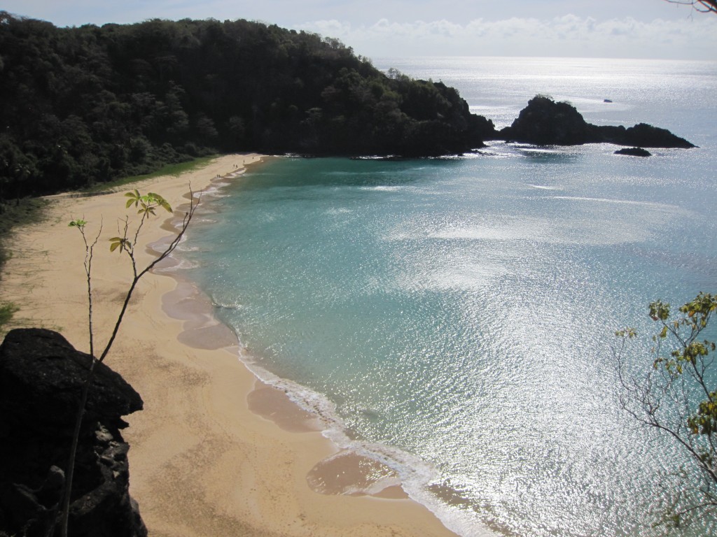 Fernando de Noronha - 2238