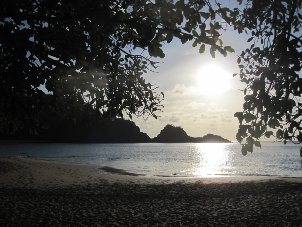 Fernando de Noronha - 2261