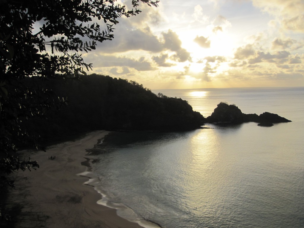 Fernando de Noronha - 2284