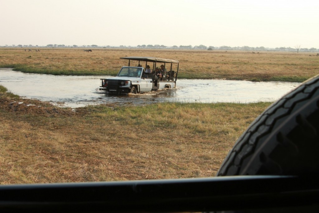 Chobe - 075