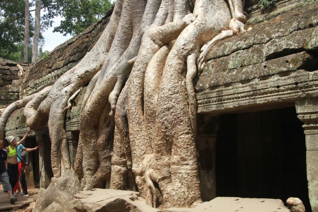 Siem Riep, Cambodia - 3700