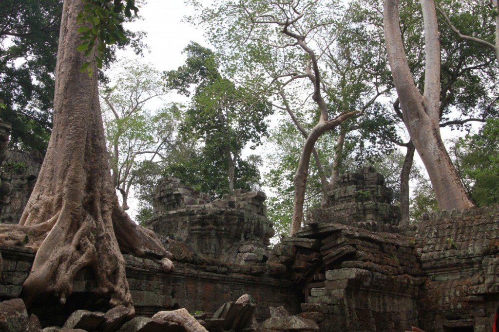 Siem Riep, Cambodia - 3711