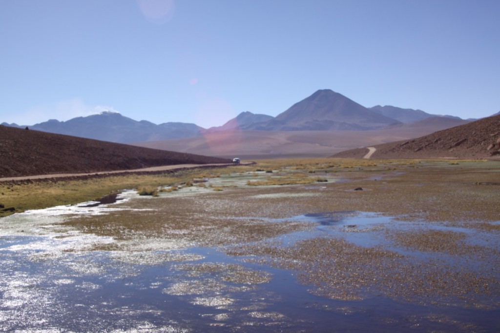 1. Atacama Paula - 540