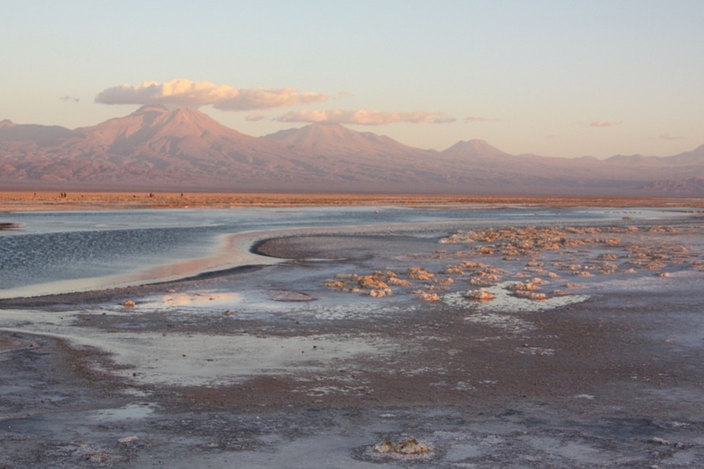 13. Atacama Paula - 771