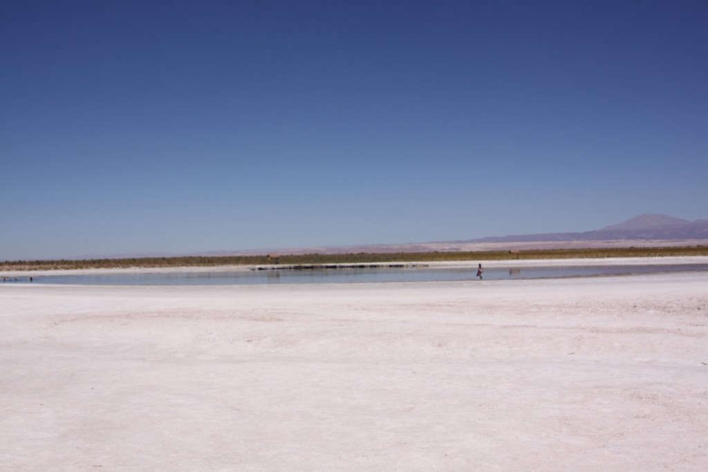 8. Atacama Paula - 294