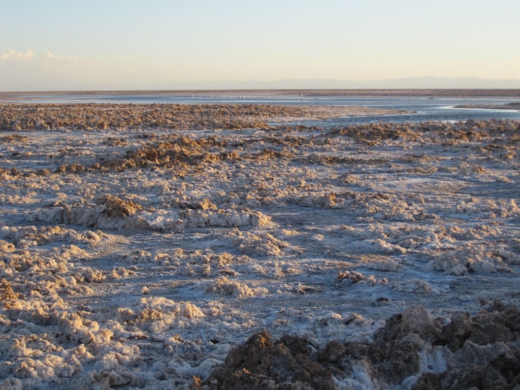 Atacama Paula - 730