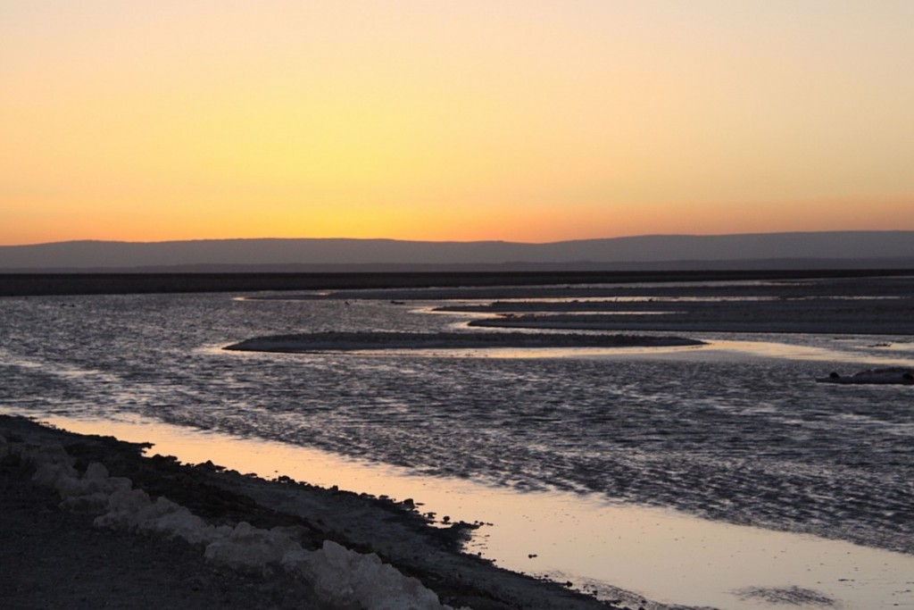 Atacama Paula - 806