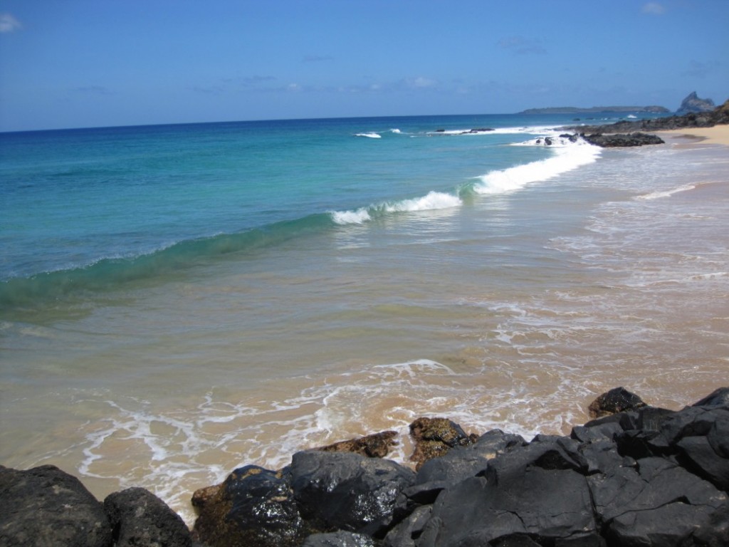 Fernando de Noronha - 2873