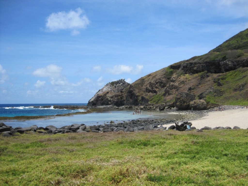 Fernando de Noronha - 2903