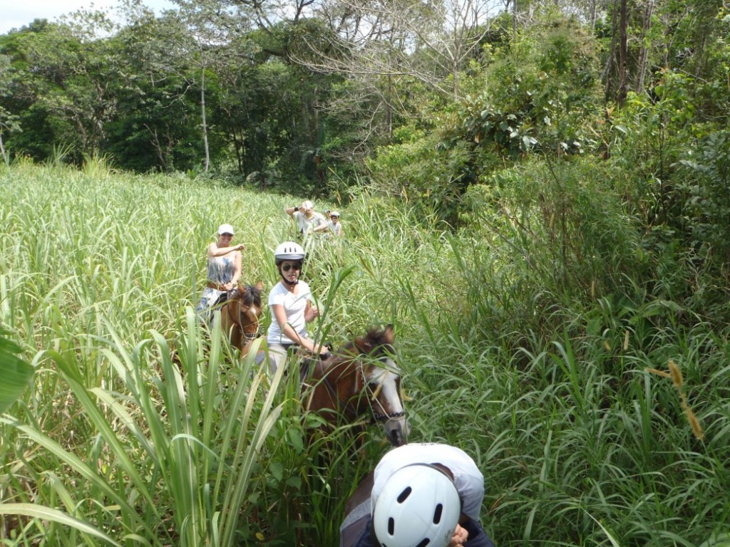 Costa Rica - 0726