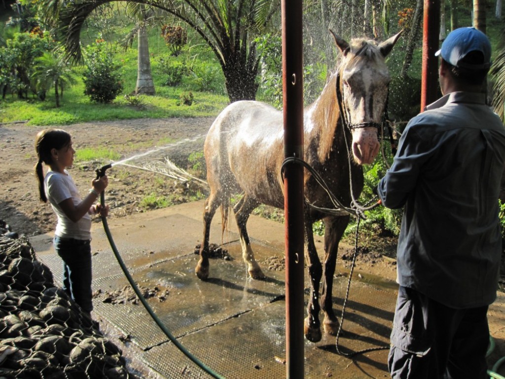 Costa Rica - 0774