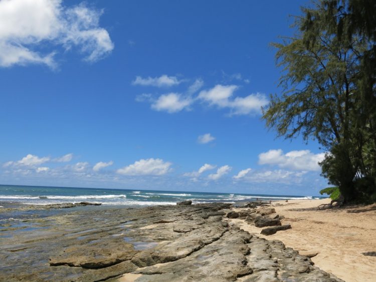 Papaiola Beach (Police Beach) - 3776