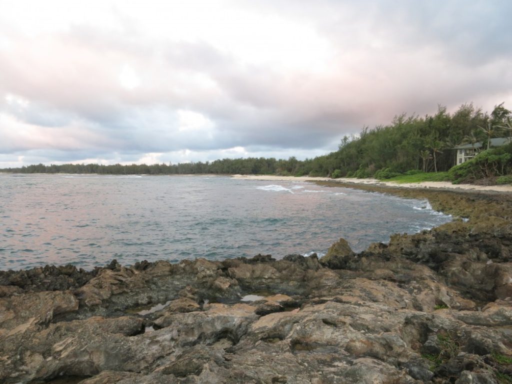 Turtle Bay Beach - 3889