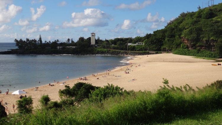 Waimea Bay - 3581