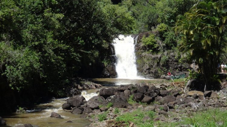 Waimea Valley (falls) - 3578