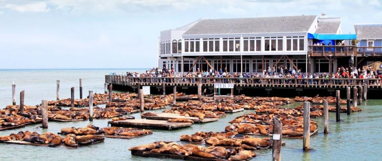 top_pier39