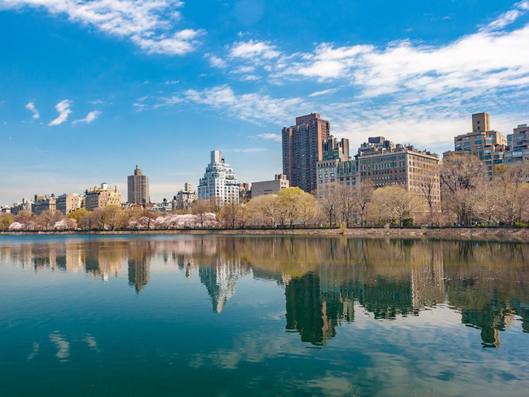 ny