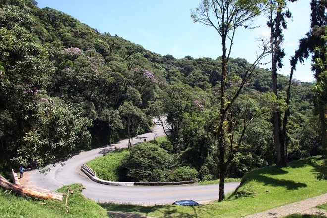 eg2