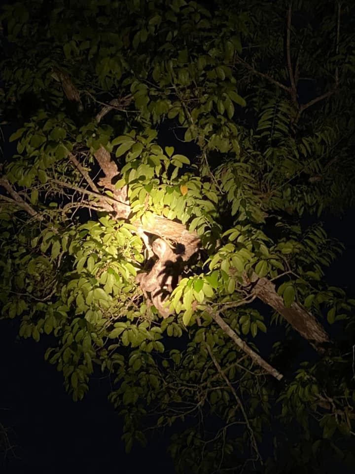 a2 3