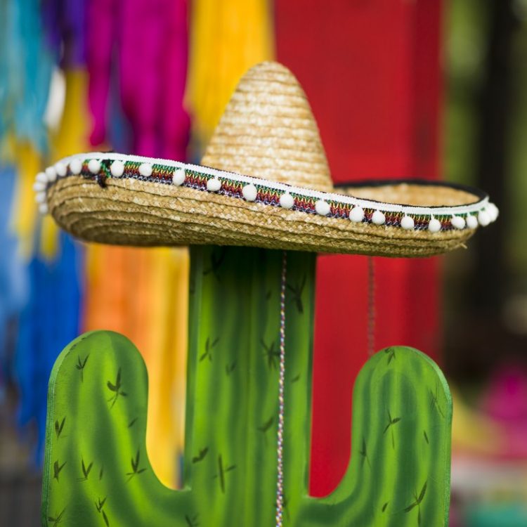 close up of creative cactus in sombrero hat for ta 3ZXWBKN