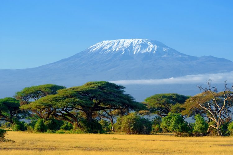 kilimanjaro on african savannah PZ2SHV9