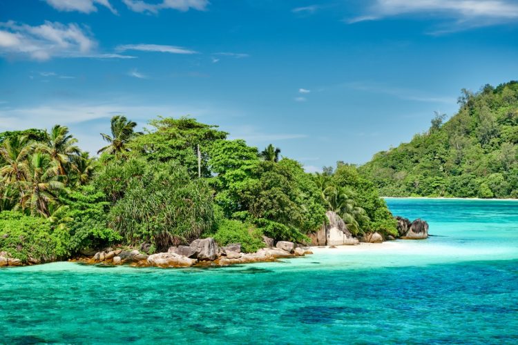 overlook of seychelles landscape mahe island ARYWMVR