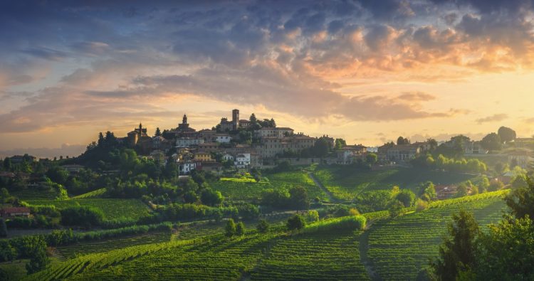 neive village and langhe vineyards piedmont italy 3RYLYQP