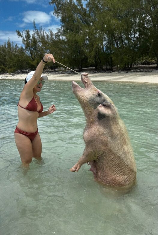 IMG 0181