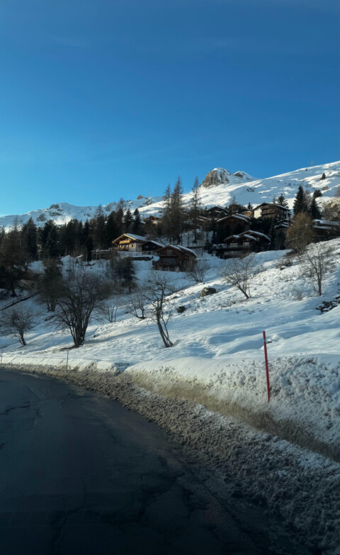 IMG 0232