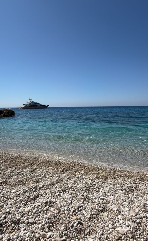 IMG 0050